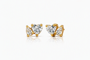 Twin Crystal Earrings