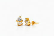 Twin Crystal Earrings