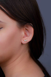 Twin Crystal Earrings